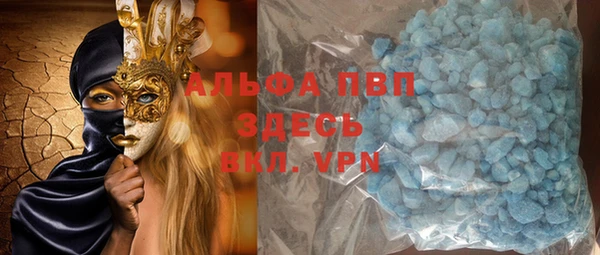 прущие грибы Аркадак