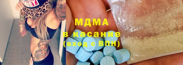 прущие грибы Аркадак